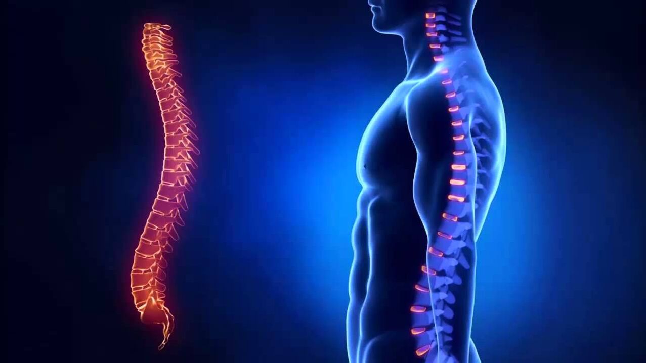 Osteochondrosis is classified according to the parts of the spine in which the disease develops.